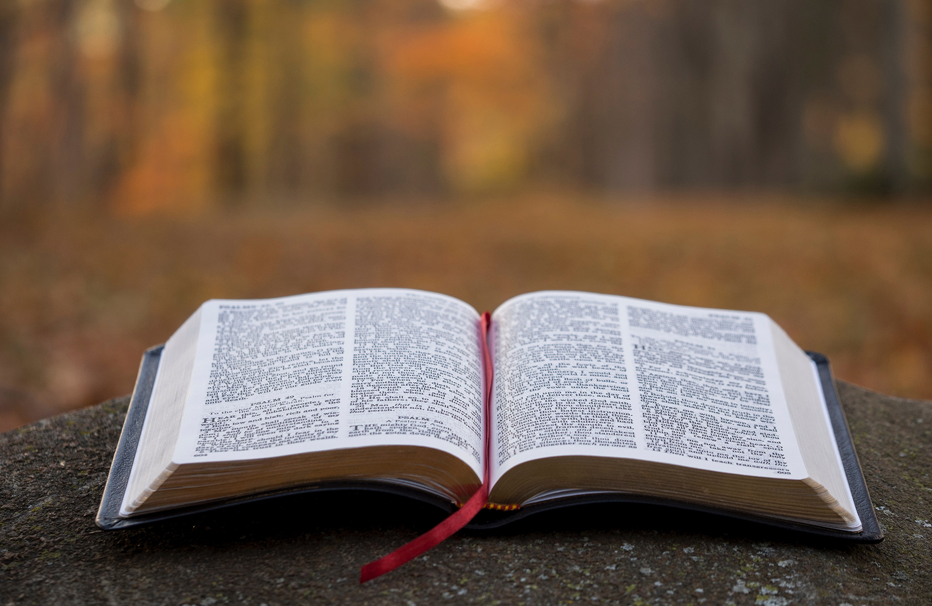 Bible