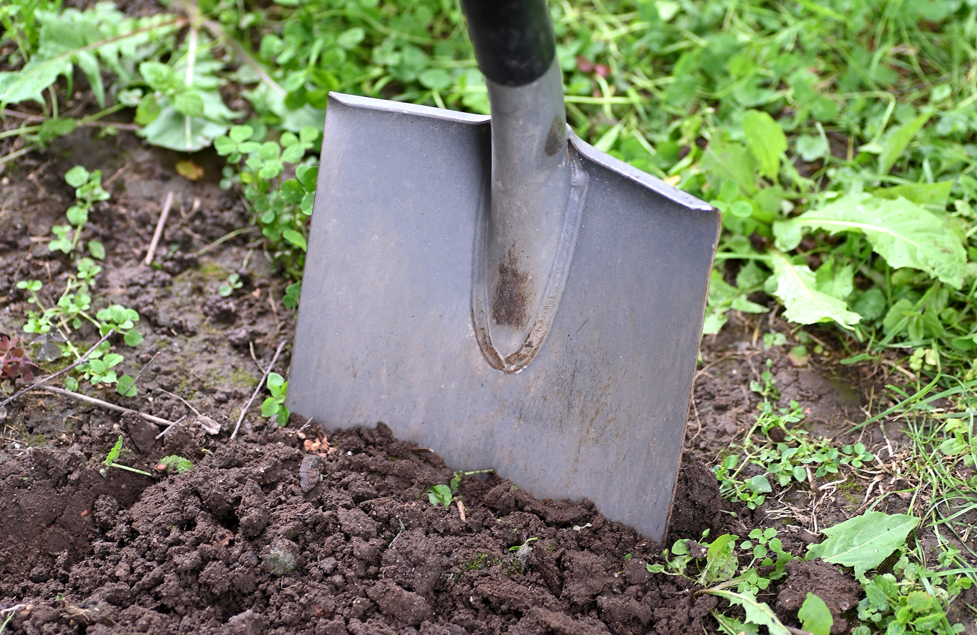 Digging