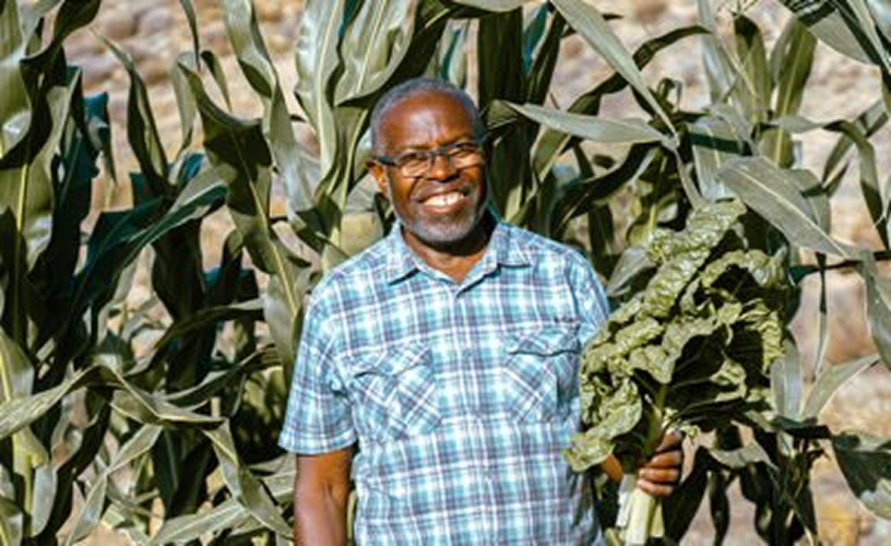 Health for the Whole Person